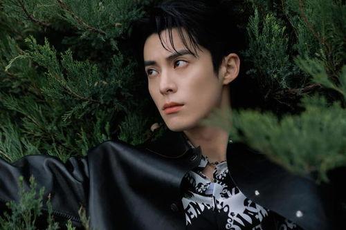 娱乐圈吃瓜爆料王鹤棣刘亦菲 第2张 娱乐圈吃瓜爆料王鹤棣刘亦菲 第2张