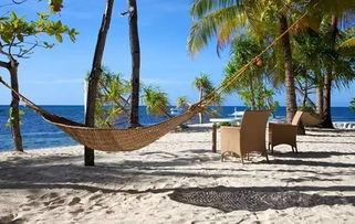 娱乐吃瓜岛,揭秘娱乐圈背后的那些事儿  第2张